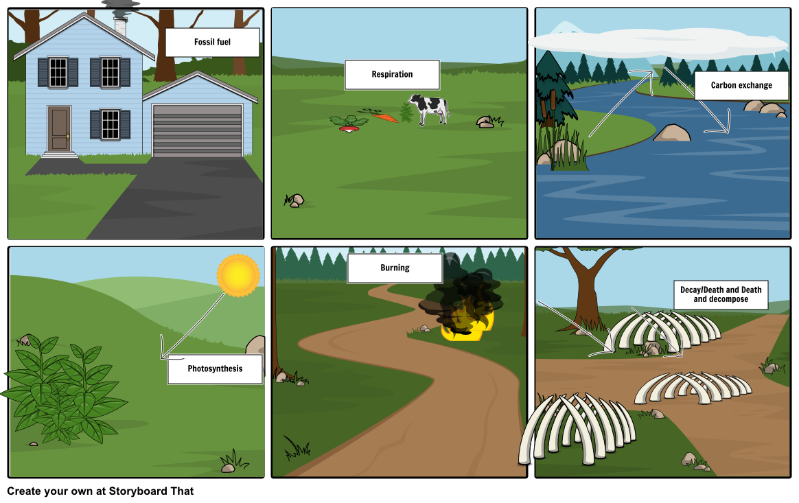 carbon cycle diagram