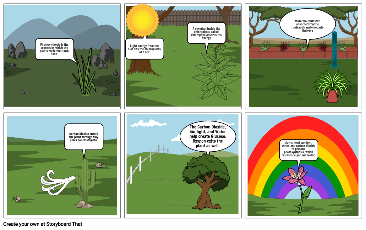 photosynthesis-cycle-storyboard-by-fdcb6ad8