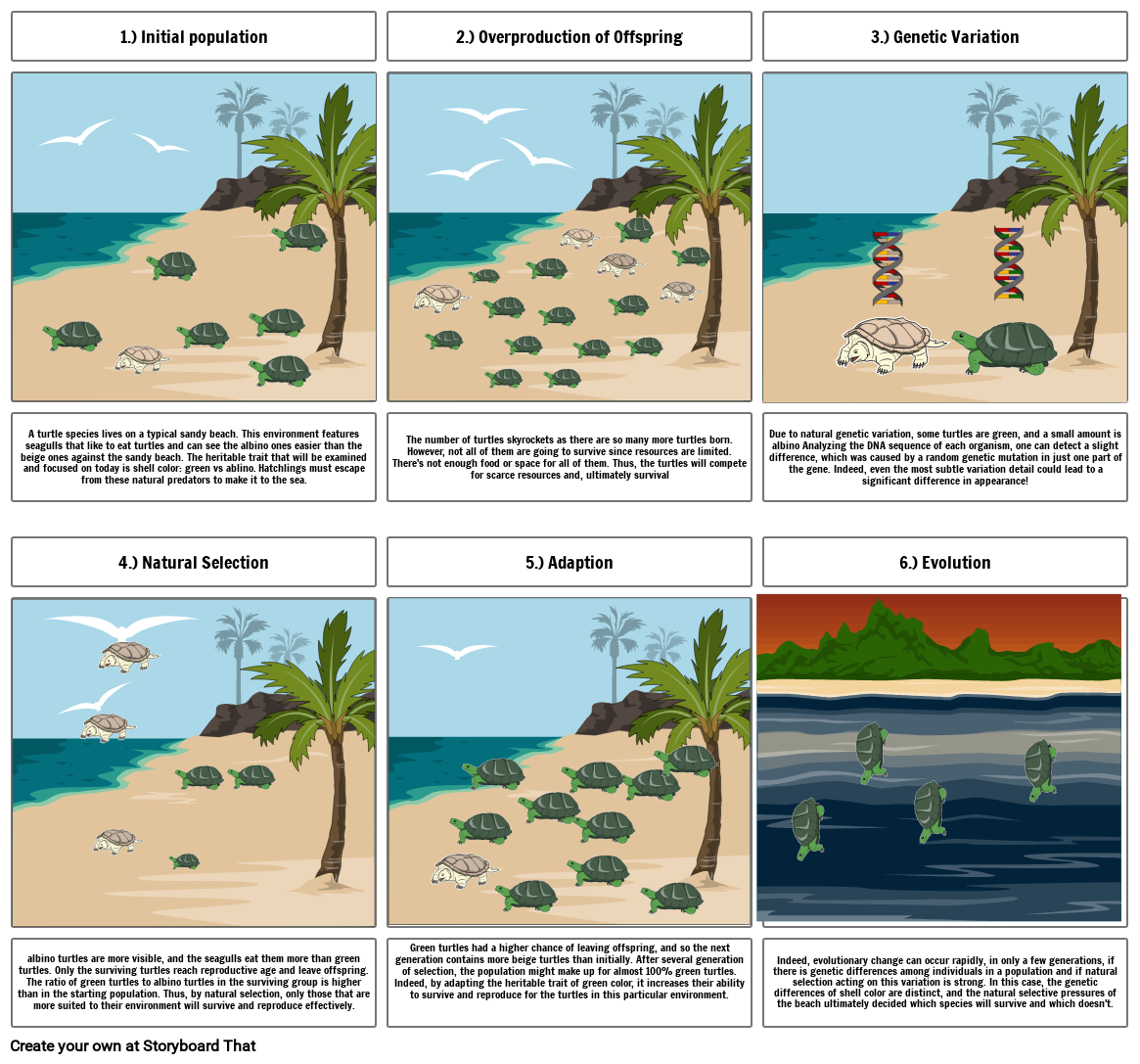 n selection Storyboard by ff0943ab