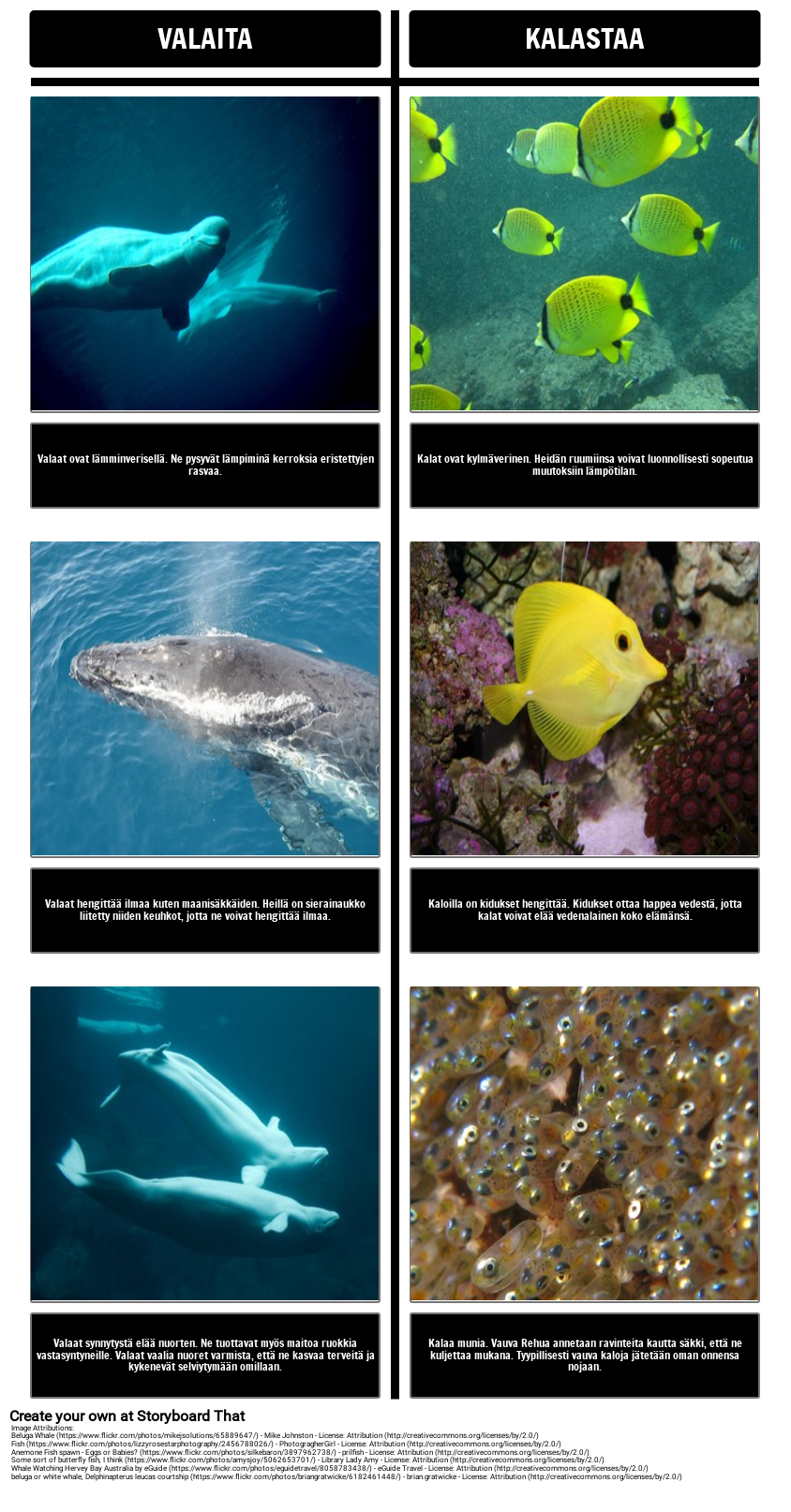 Paksu musta pillua creampie