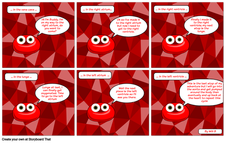 Blood cell journey