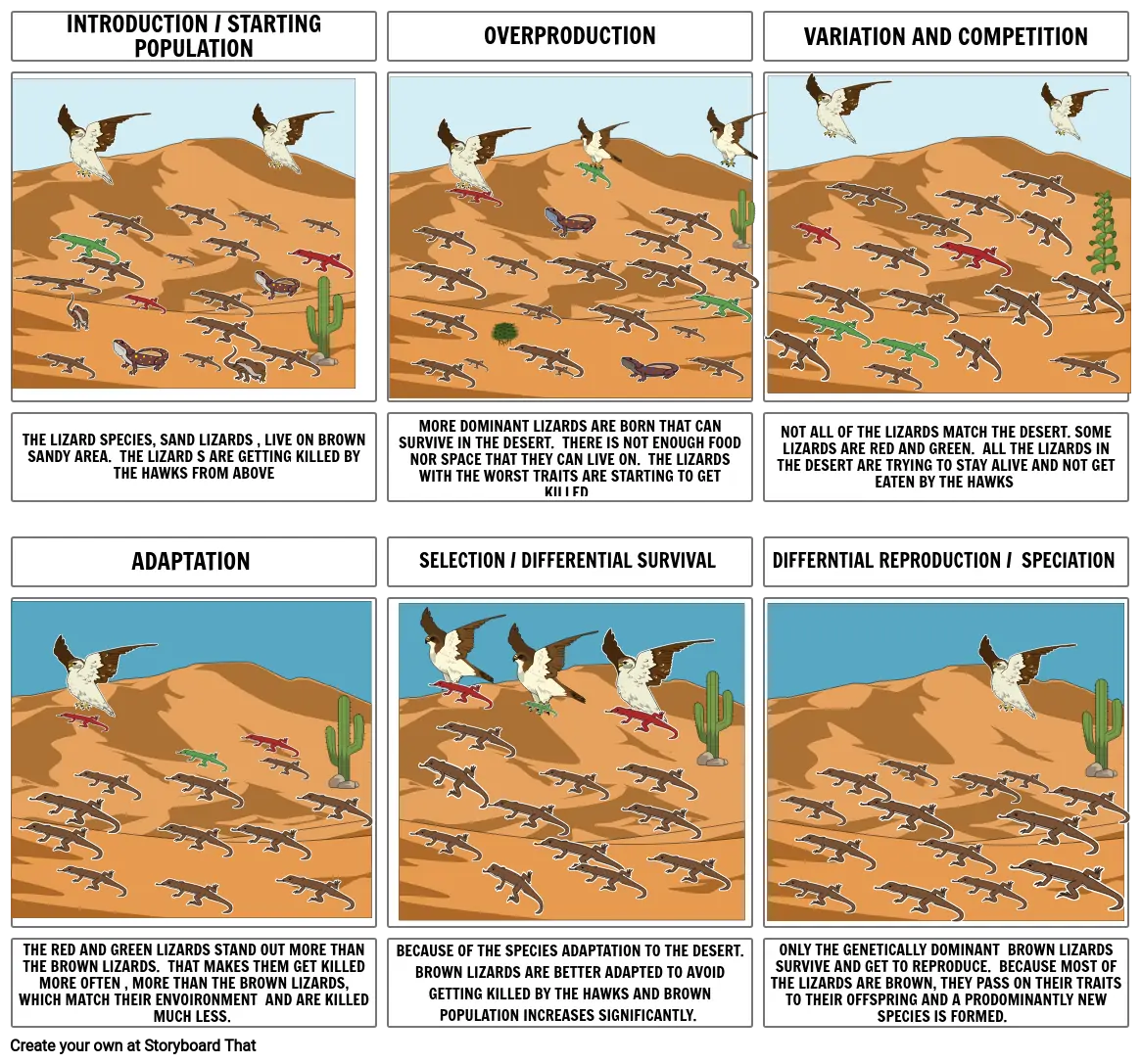 NATURAL SELECTION OF DESERT LIZARDS BY JOAQUIN SALINAS