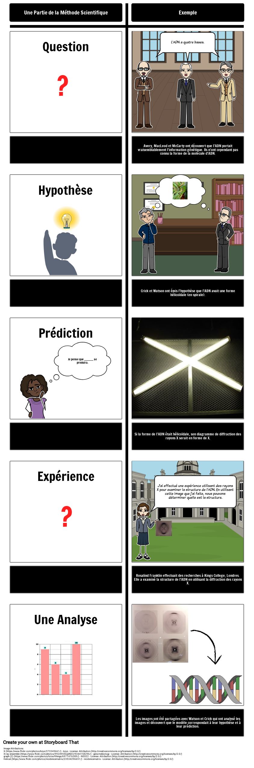 Méthode scientifique avec ADN Storyboard par fr-examples