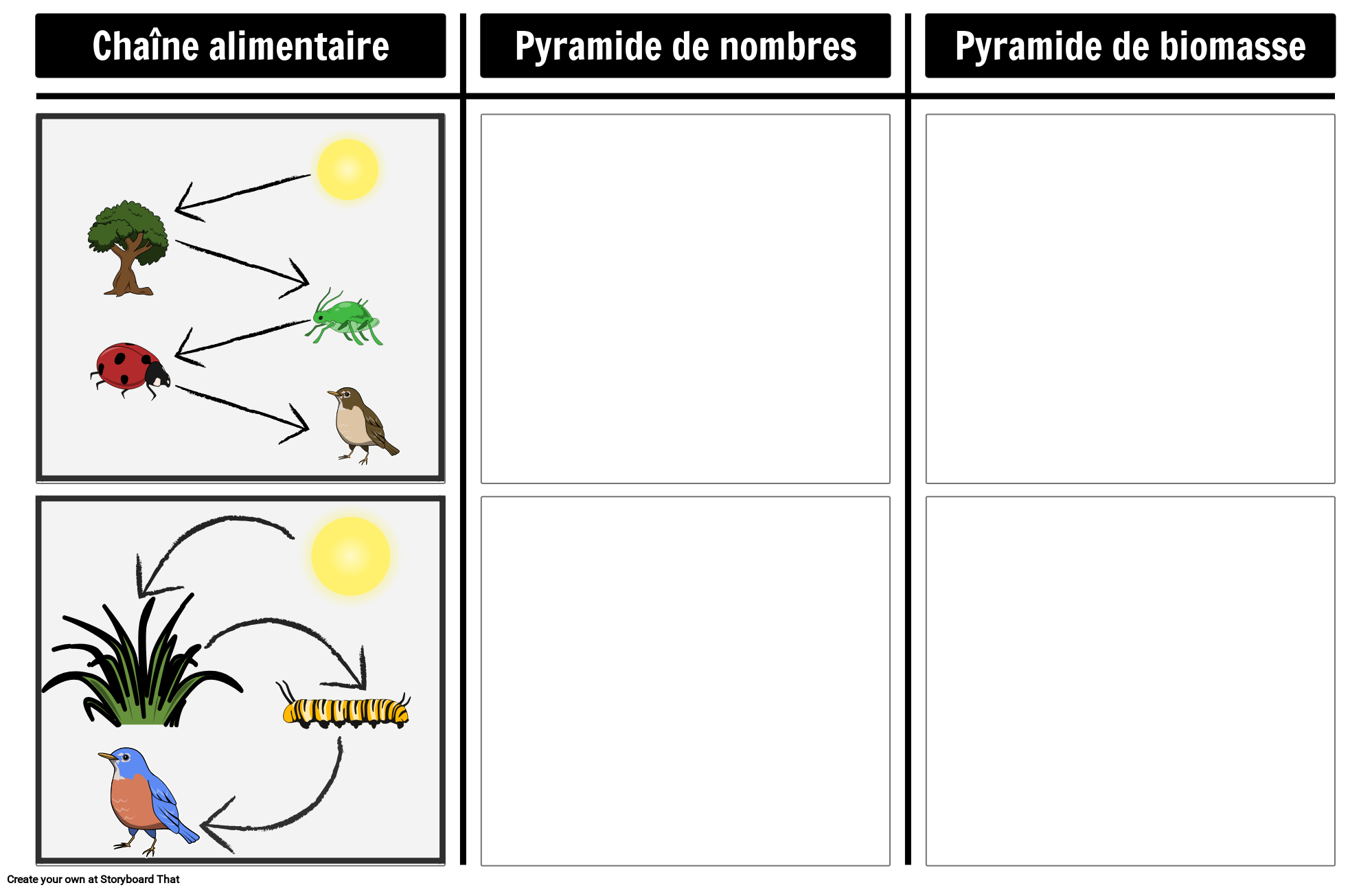 Pyramide des Nombres et de la Biomasse