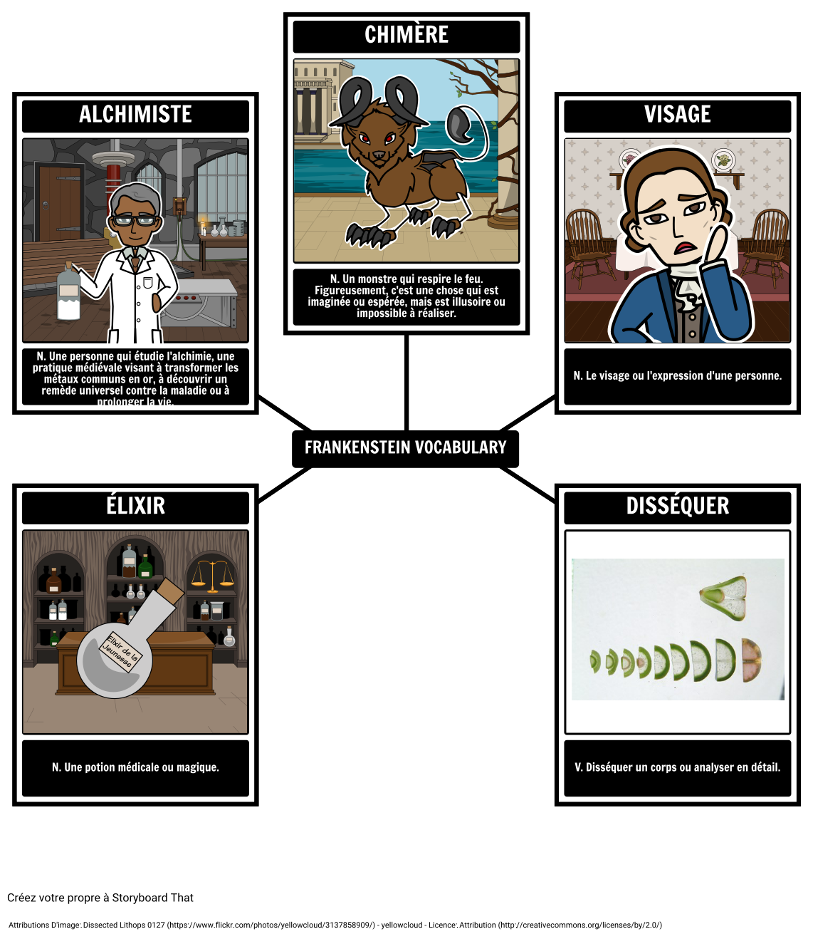 vocabulaire-frankenstein-storyboard-por-fr-examples