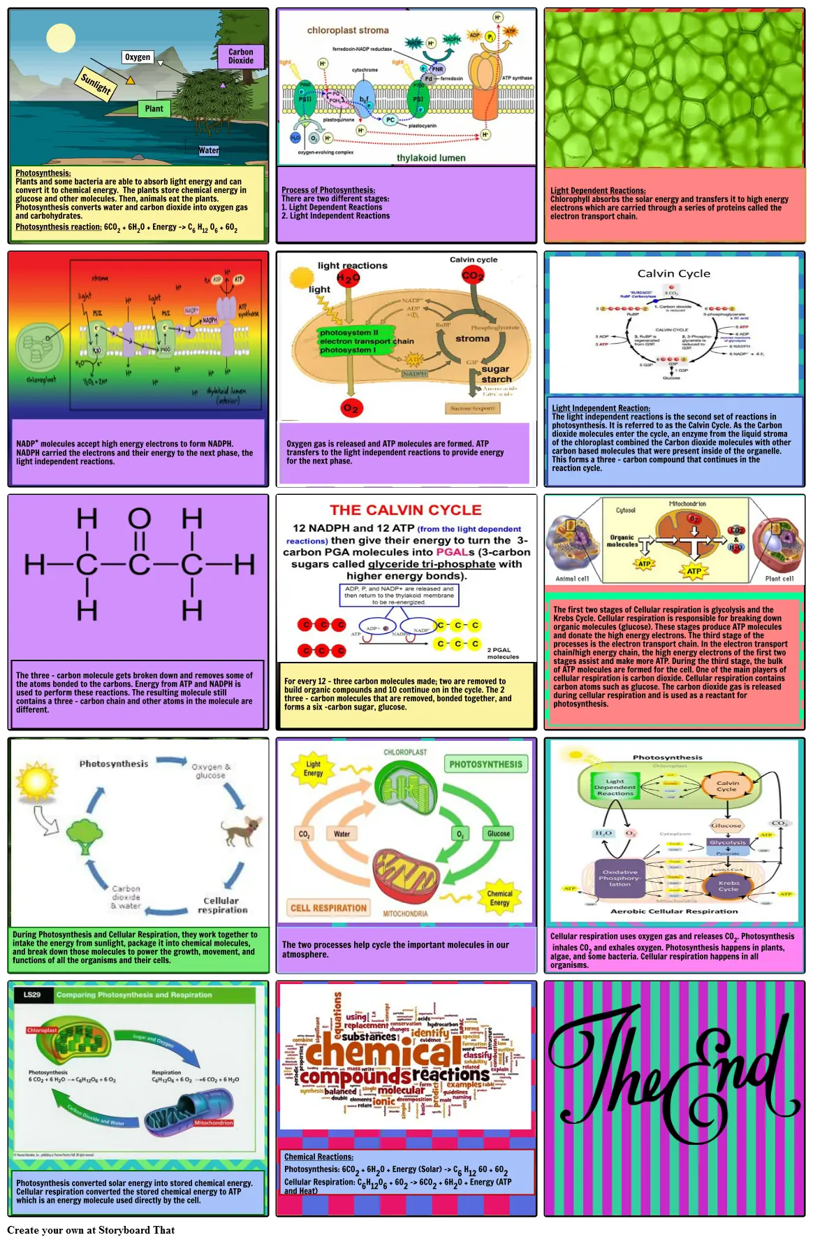 Carbon Atom in Photosynthesis and Cellular Respiration