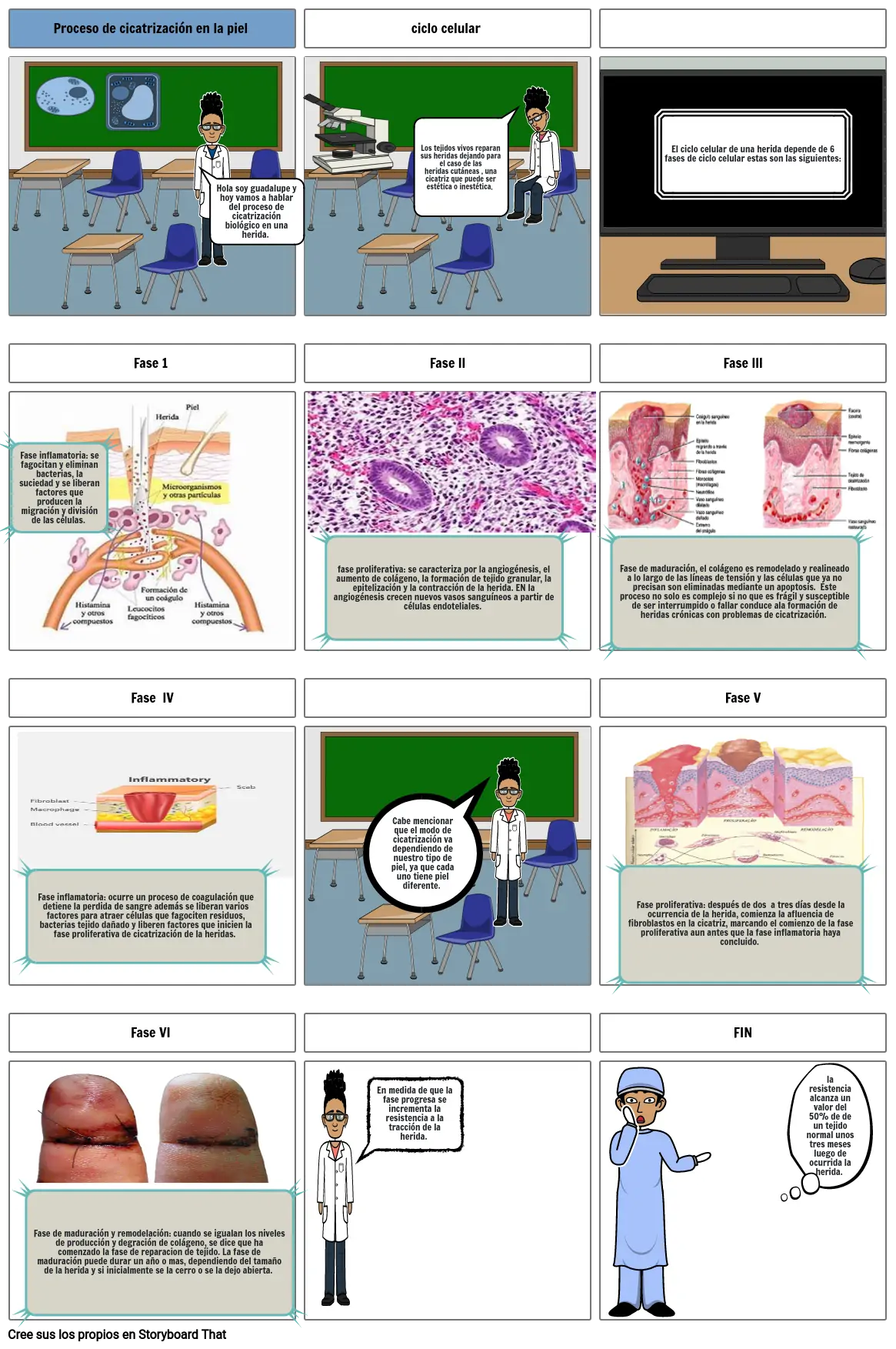 Proceso de cicatrización