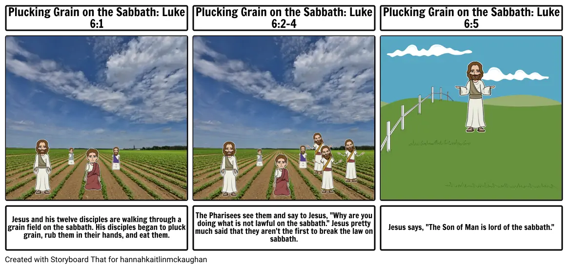 Plucking Grain: Matthew