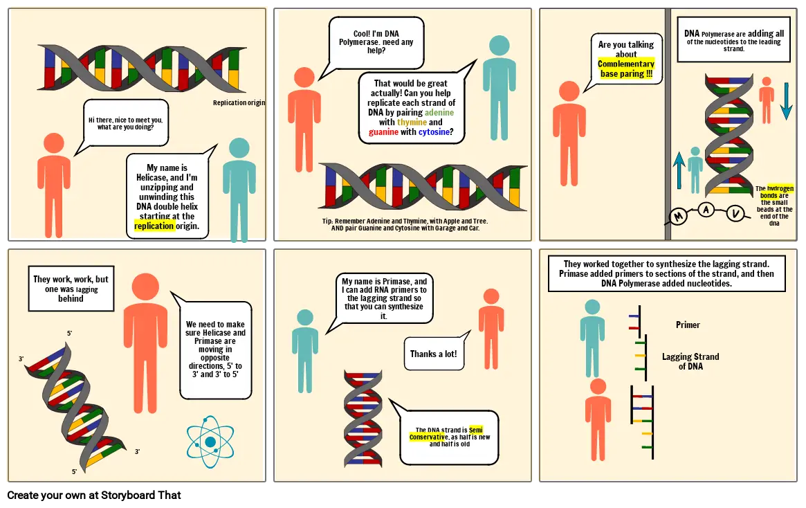 DNA Replication