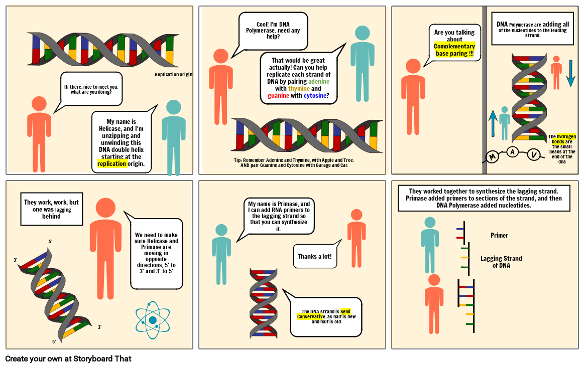 DNA Replication