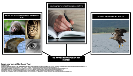 ראיית עין בעין - יחסים בין פסקאות