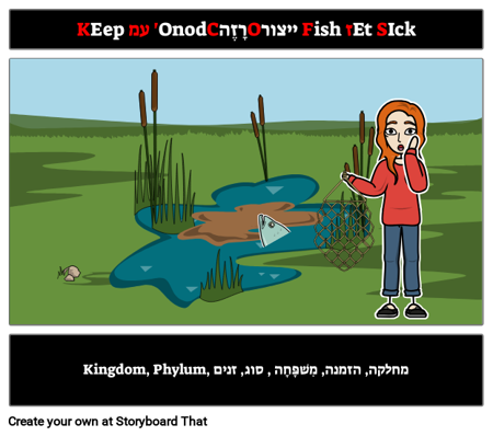 שמור על בריכות נקי או דגים לחלות