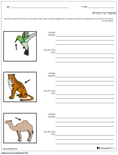 גיליון עבודה של פונקצית הסתגלות