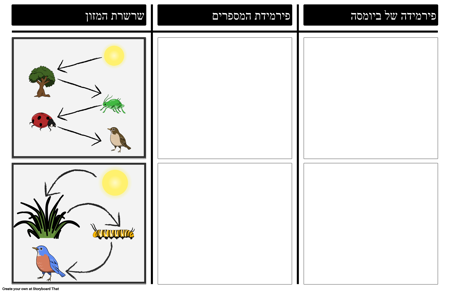 פירמידה של מספרים וביומסה
