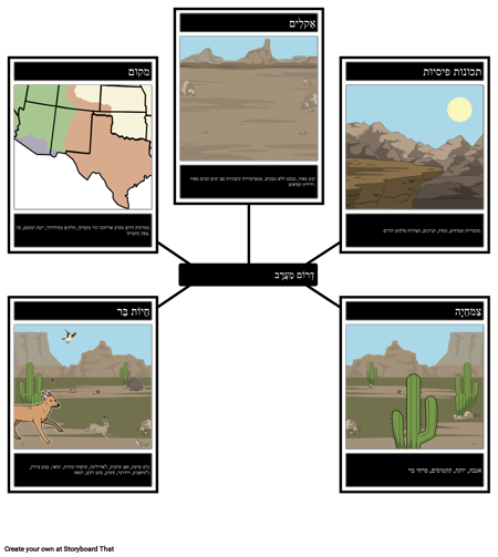 מפת עכביש אזור דרום מערב