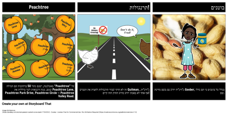 עובדות מהנות מג'ורג'יה