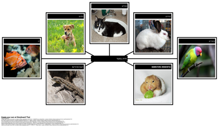 מפת עכביש - חיות מחמד