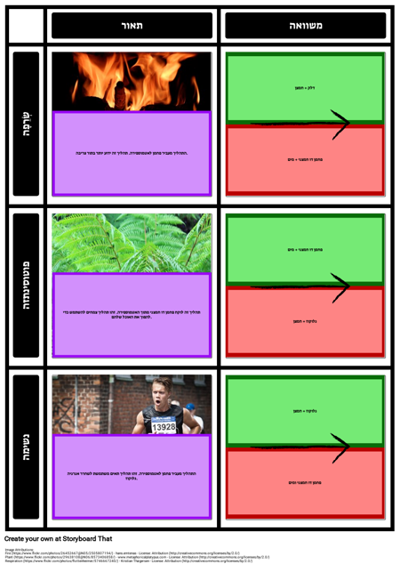 תהליכים ברשת פחמן