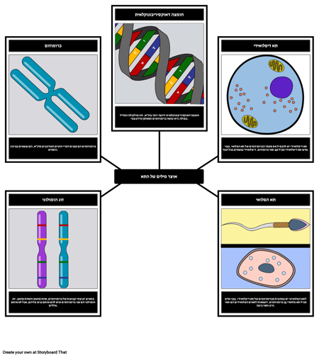 אוצר מילים של התא