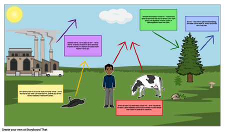 תרשים פחמן מחזור