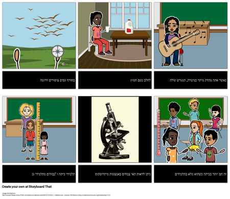 דוגמאות לתצפיות