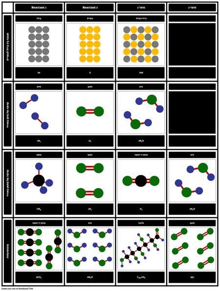 תגובות דוגמנות