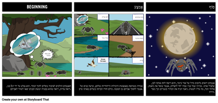 אננסי הסיכום BME עכביש