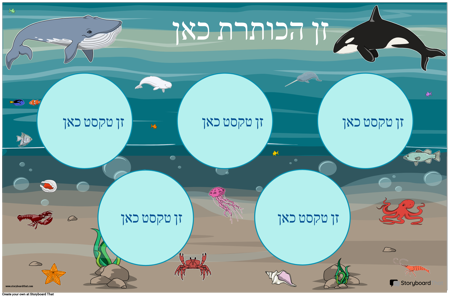 חוקי הכיתה 18