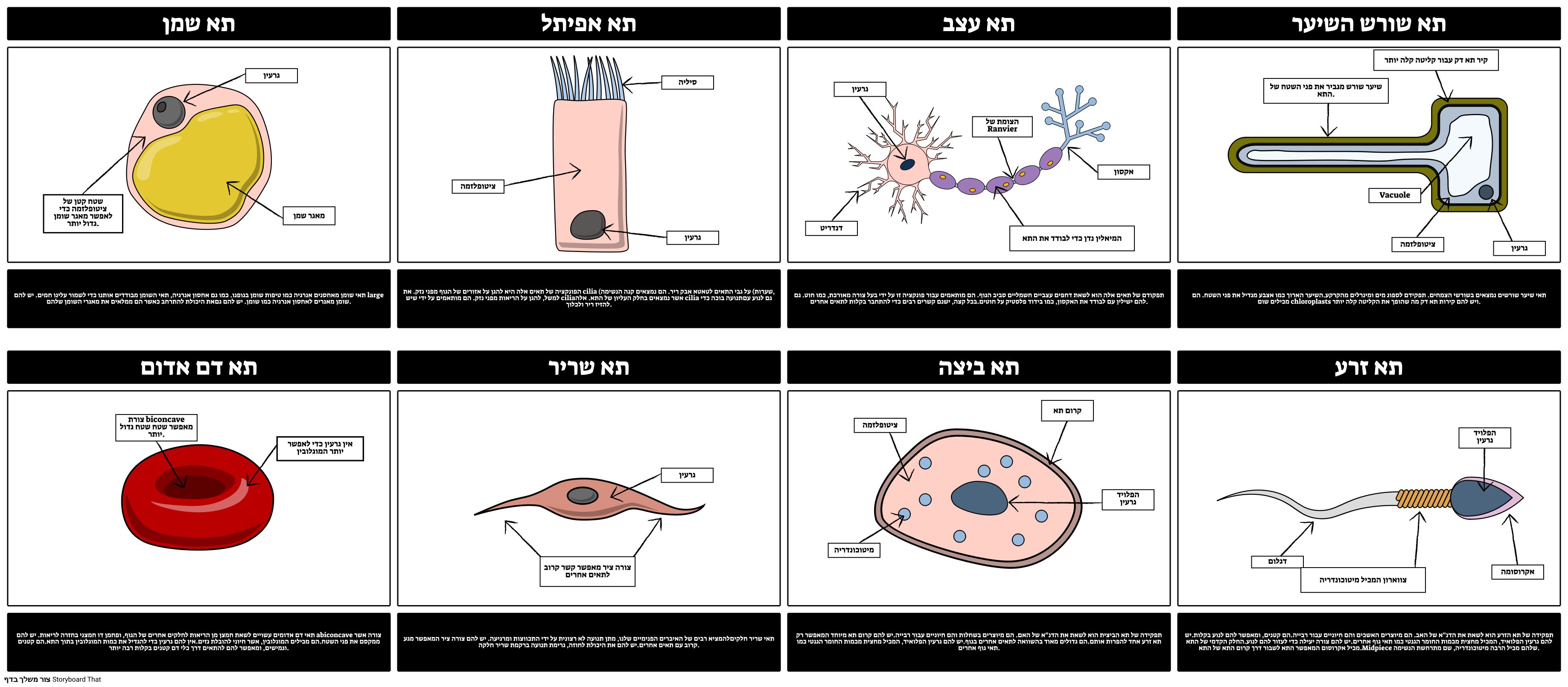  Storyboard Por He examples