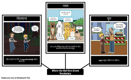 जहां रेड फर्न शब्दावली बढ़ती है