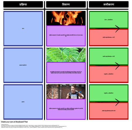 कार्बन साइकिल में प्रक्रियाएं