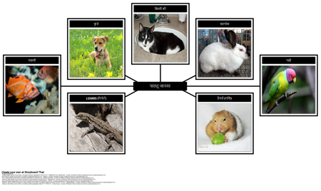 स्पाइडर मैप - पालतू जानवर