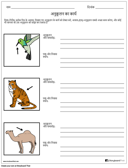 अनुकूलन समारोह कार्यपत्रक