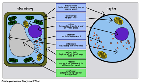 संयंत्र और पशु कक्ष