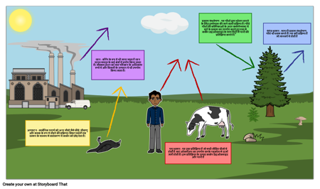 कार्बन चक्र आरेख