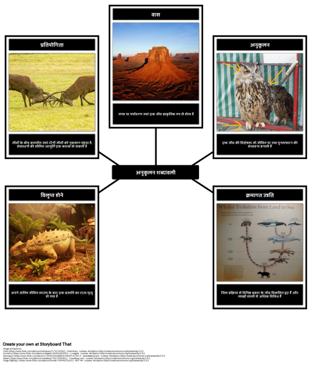 अनुकूलन शब्दावली