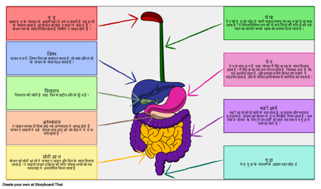पाचन तंत्र