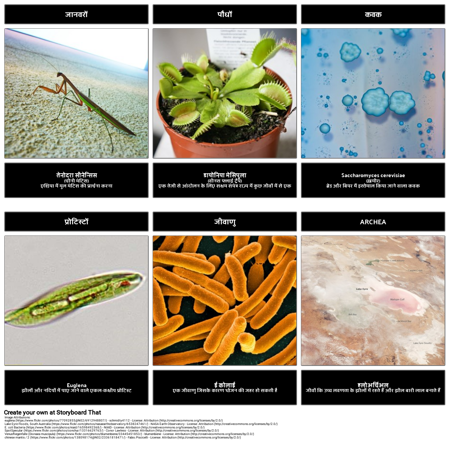 राज्यों