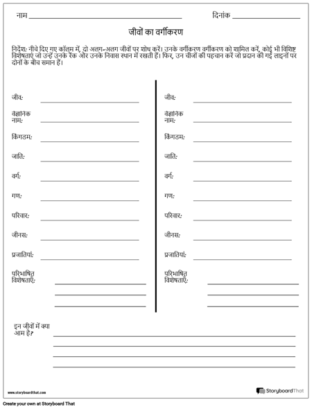 टैक्सोनॉमिक रैंक