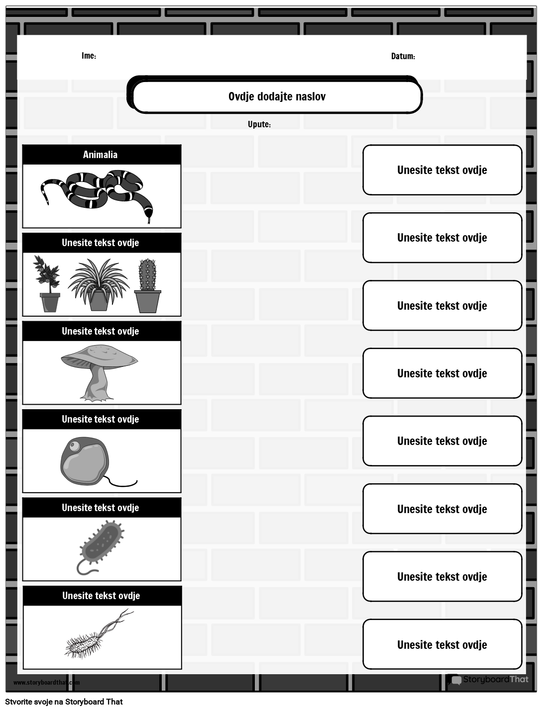 vrsta-podudaranja-radni-list-six-kingdoms-of-life