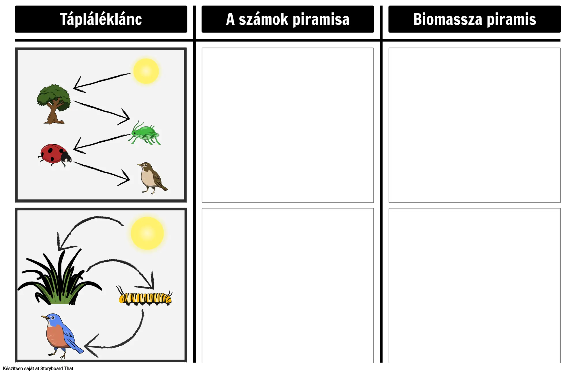 A Számok és a Biomassza Piramisa