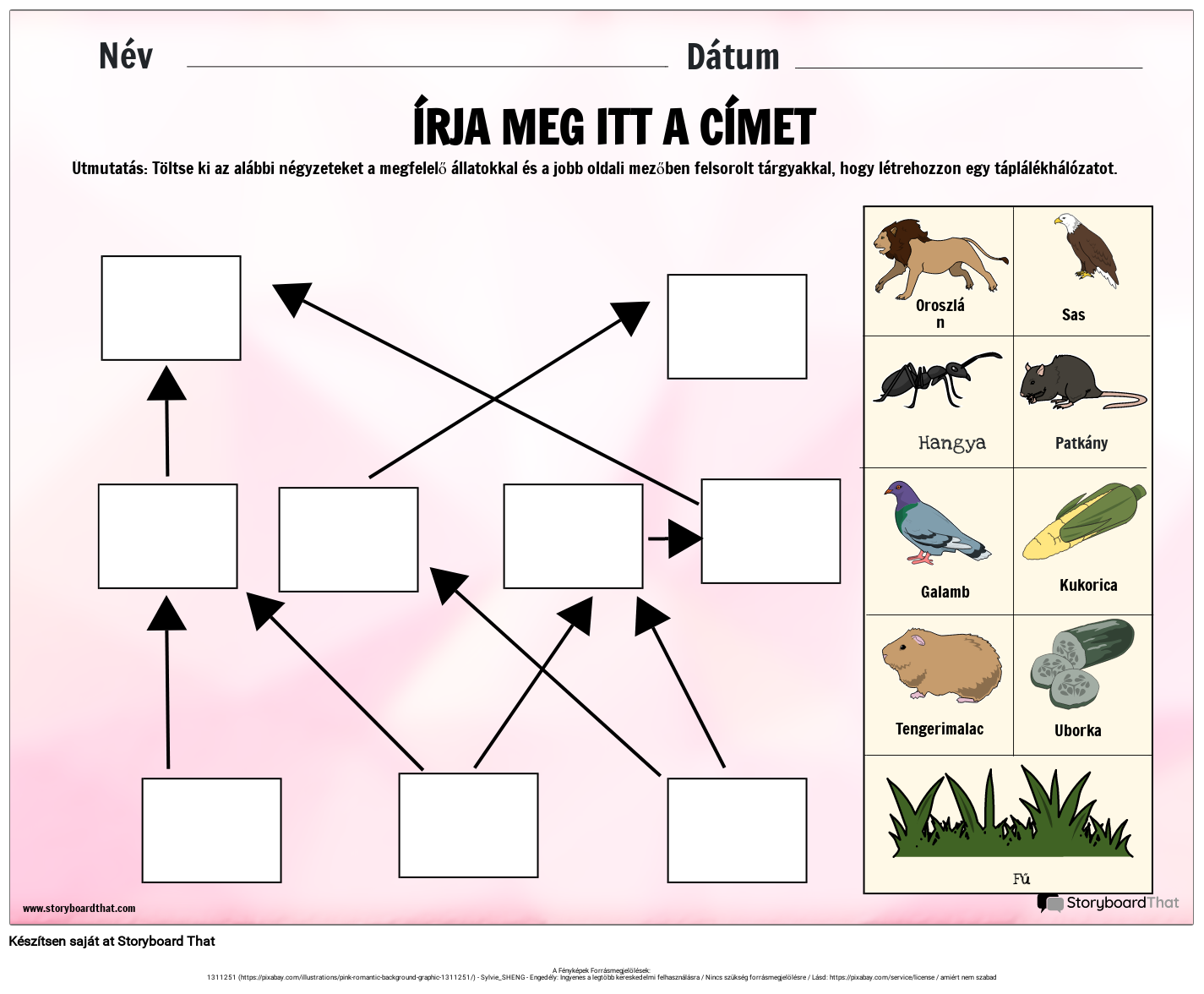 Food web tev kenys g kosziszt ma munkalap storyboard