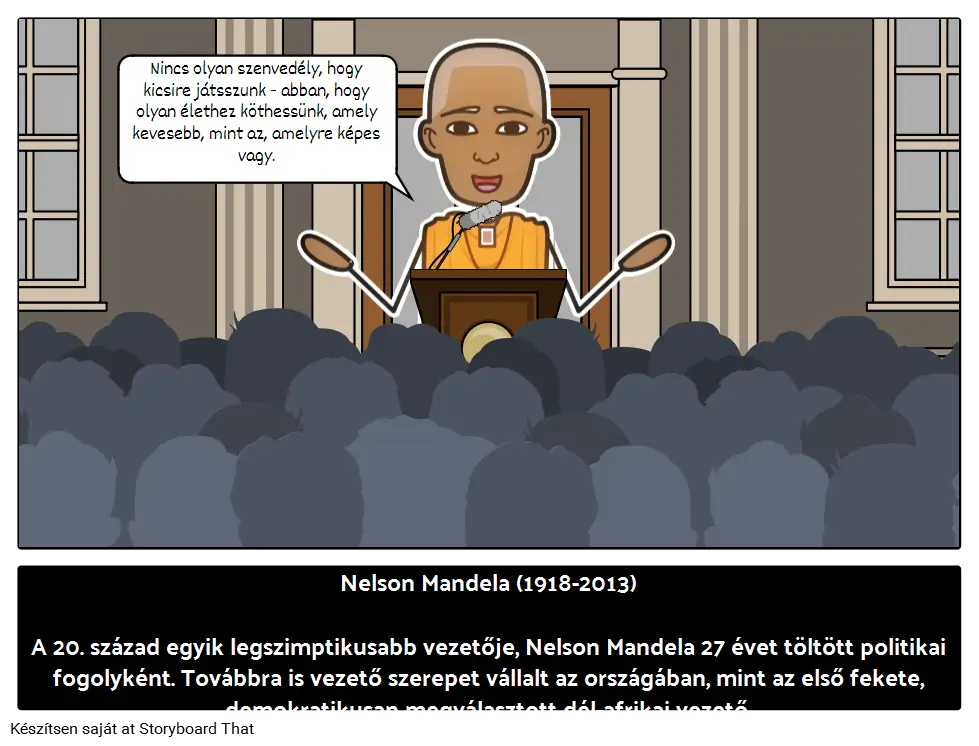 Nelson Mandela Briográfia