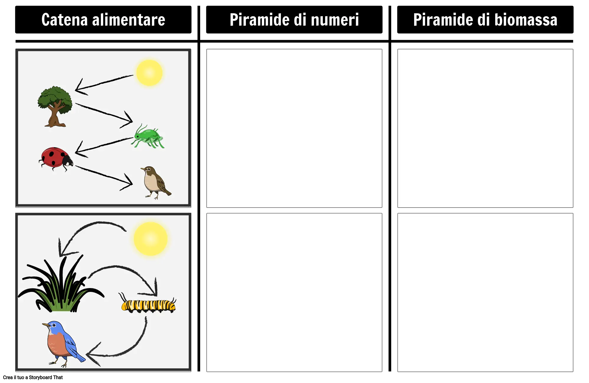 Piramide di Numeri e Biomassa