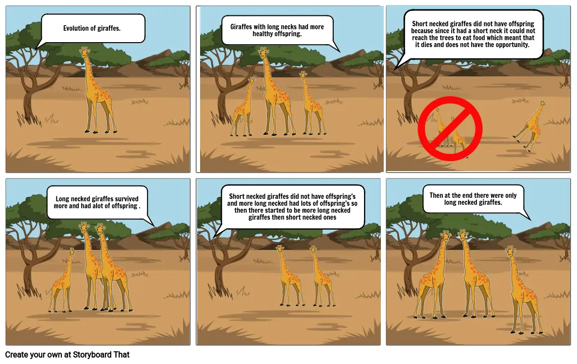 Evolution of giraffes