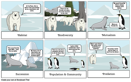 Ecology Vocabulary Comic Strip