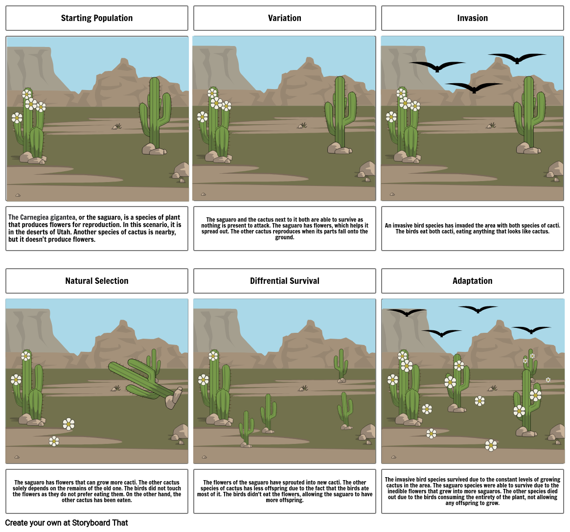 saguaro Storyboard por jakobe2