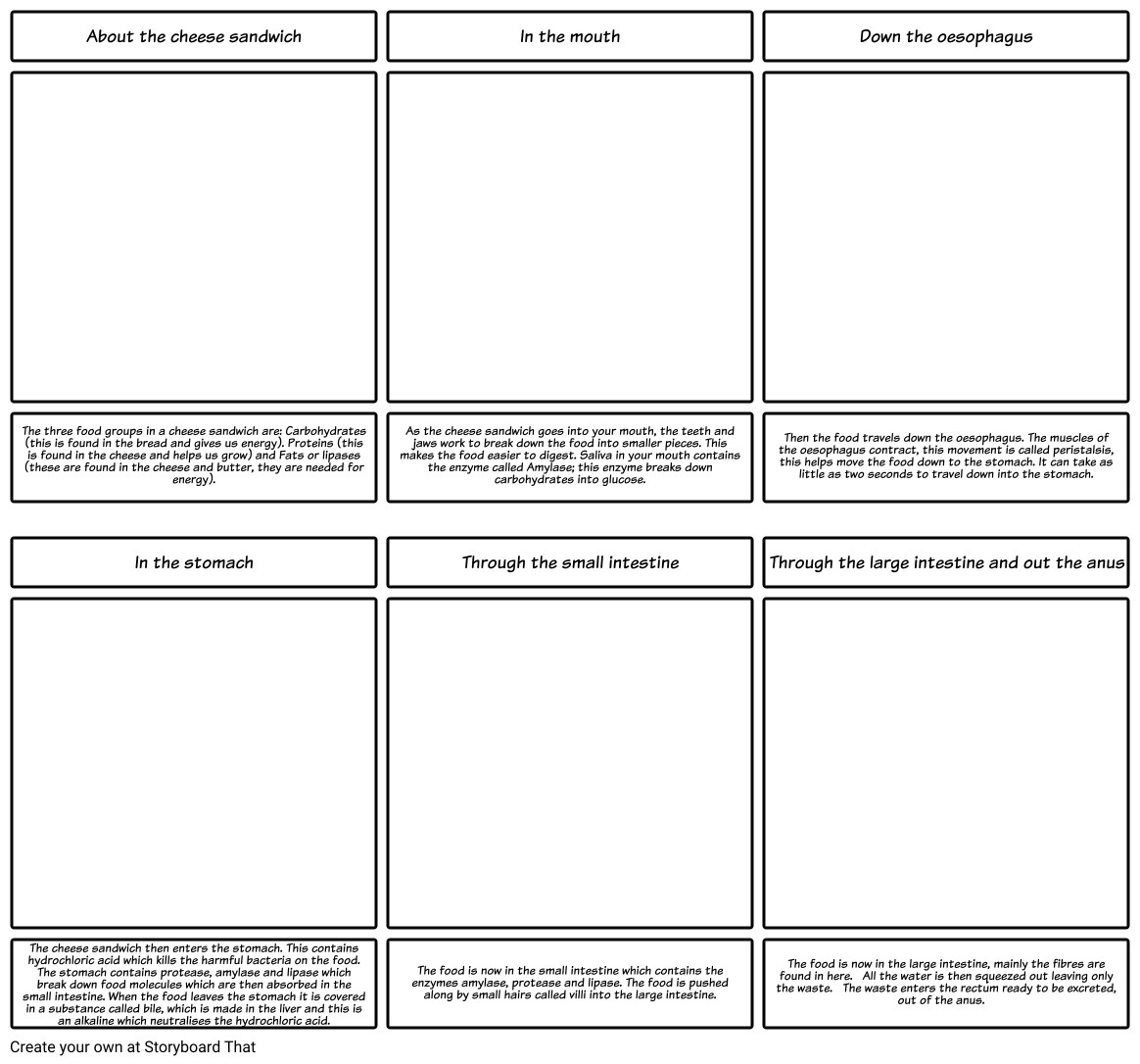 The journey of a cheese sandwich Storyboard by jencross