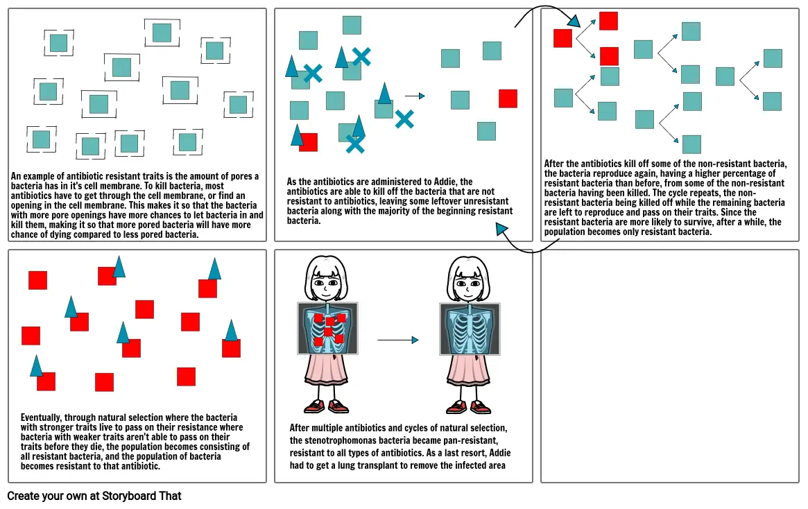 Addie Storyboard2