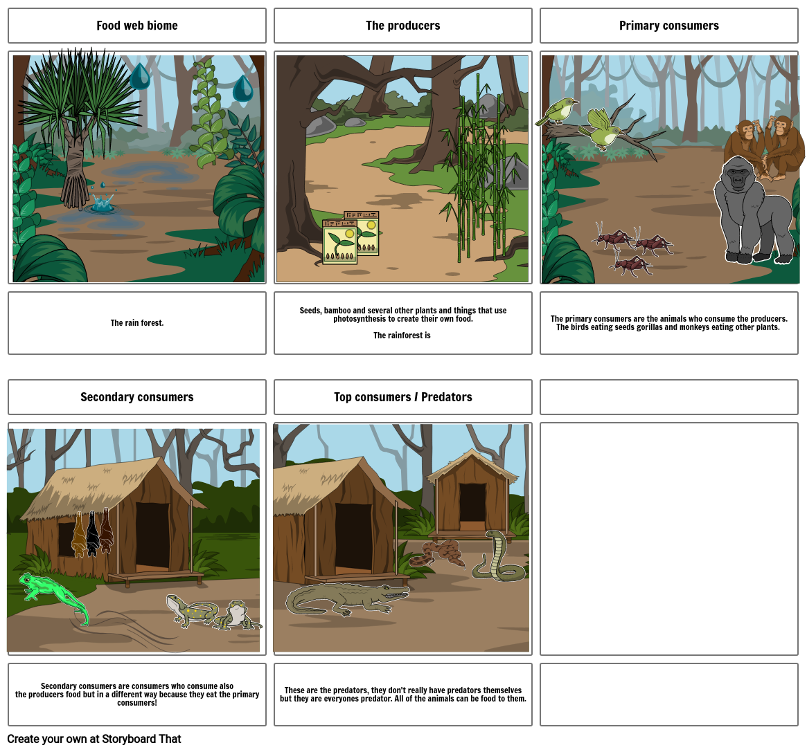 Food Web Storyboard By Jm31035